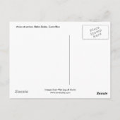 モイラアットいかり、バイアドレイク、コスタリカ ポストカード (裏面)