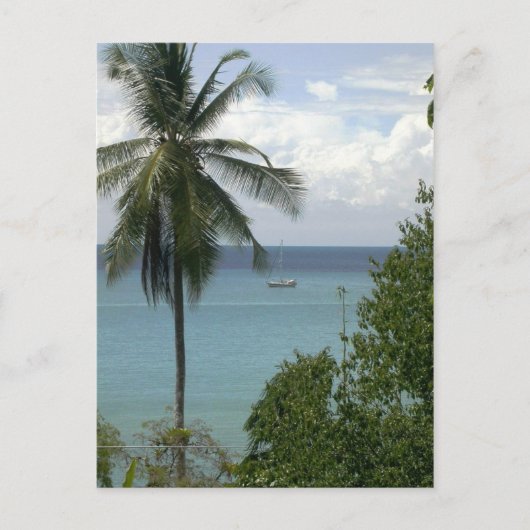 モイラアットいかり、バイアドレイク、コスタリカ ポストカード (正面)