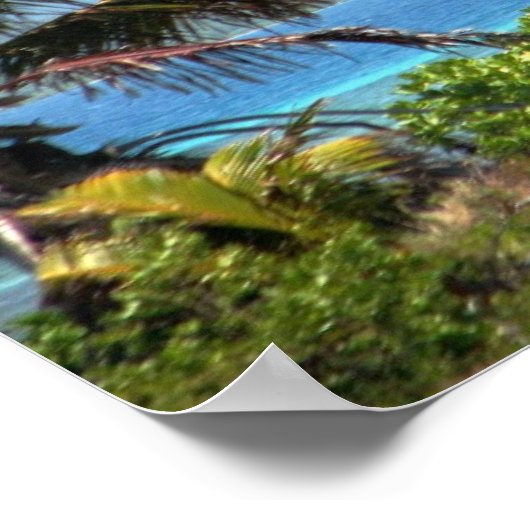 モイラatいかり,ジョシュの鍵,グアナハ,ホンジュラス ポスター (角)