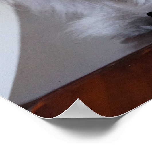 モウつる大佐 ポスター (角)