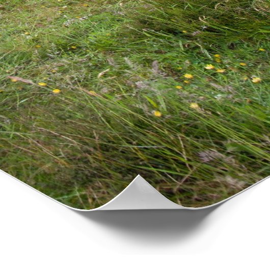 モウの警官の城 ポスター (角)