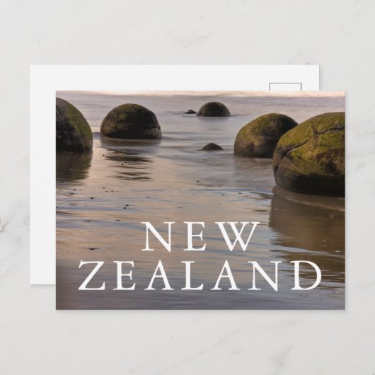 モエラキ大きい石オンビーチ ポストカード (正面/裏面)