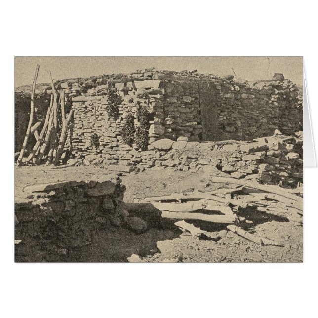 モエンコピ (正面横)