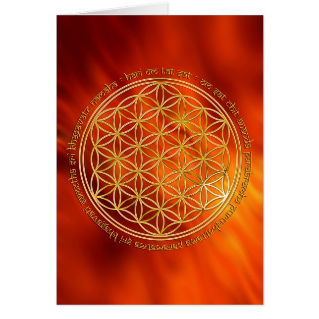 モオラマントラ | fire red (正面)