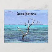 モオレアポリネシアのフランスの木 ポストカード (正面)