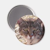 モギー マグネット (正面/裏面)