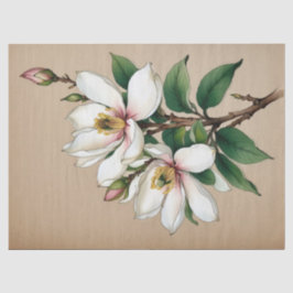 モクレンの花 薄葉紙