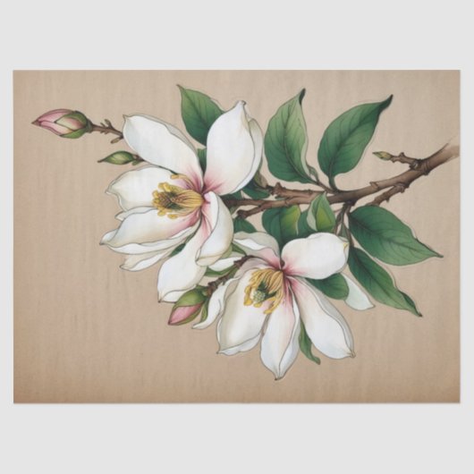 モクレンの花 薄葉紙 (正面)