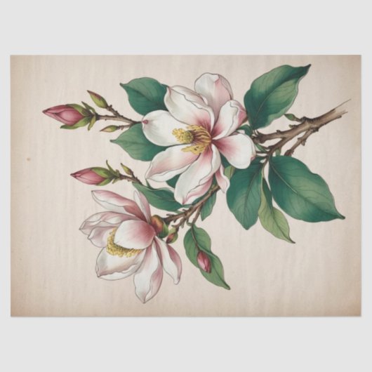 モクレンの花 薄葉紙 (正面)