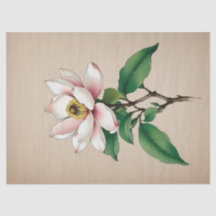 モクレンの花