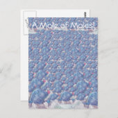 モグラ漫画アボガドロ定数のモル ポストカード (正面/裏面)