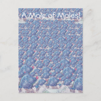 モグラ漫画アボガドロ定数のモル ポストカード