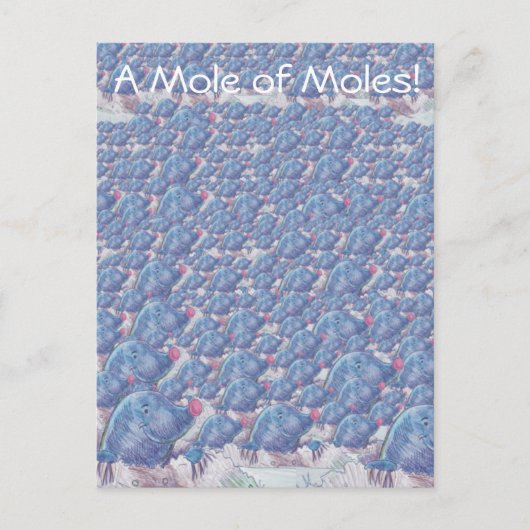 モグラ漫画アボガドロ定数のモル ポストカード (正面)