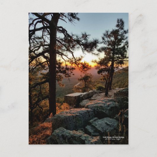 モゴロンリムアリゾナでの夕日 ポストカード (正面)