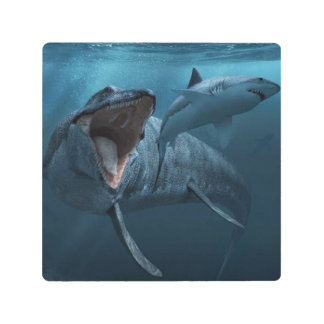 モサウルス追いかけるサメのポスターのアクリルプリント メタルプリント