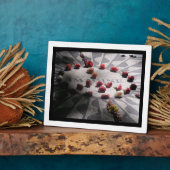 モザイク想像セントラルパーク フォトプラーク (側面)