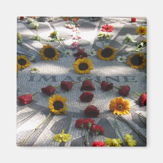 モザイク想像、イチゴ畑、ニューヨーク –  マグネット (正面)