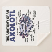 モザイクAxolotl説明Axolotlの解剖学 シェルパブランケット (正面(横))