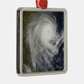 モザンビークの熱帯低気圧飛行 メタルオーナメント (右)
