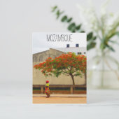 モザンビークの赤い木 ポストカード (スタンド正面)