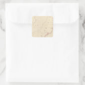 モザンビークアフリカ47 スクエアシール (バッグ)