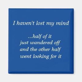 モシェ角磁石1 マグネット