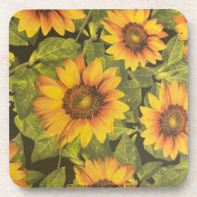 モジゾラアデオラバグダモシ