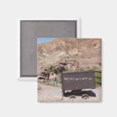 モジファンキーェブ砂漠マグネット！ マグネット (正面/裏面)