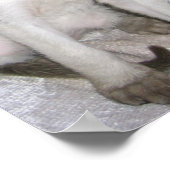 モジャベ素晴らしル ポスター (角)