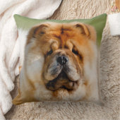 モジョチュウ装飾用クッション クッション (ブランケット)