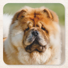 モジョチュコースター スクエアペーパーコースター