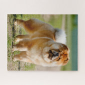 モジョチョウジグソーパズル ジグソーパズル (横)