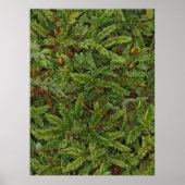 モスのモチーフのポスター ポスター (正面)