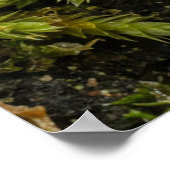 モスのモチーフのポスター ポスター (角)