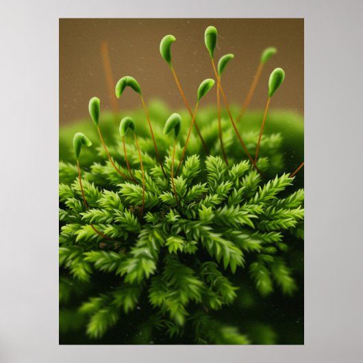 モスのモチーフのポスター ポスター (正面)