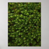 モスのモチーフのポスター ポスター (正面)