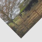 モスカバー屋根を持つ荒廃したイングランド納屋 薄葉紙 (詳細)