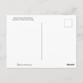 モスクシェイクザイードグランドモスク ポストカード (裏面)