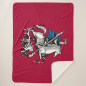 モスクワロシアの国旗（首都） シェルパブランケット (正面)