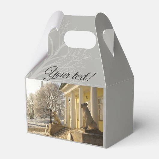 モスクワ。冬。ライオンの彫刻。 フェイバーボックス (正面サイド)