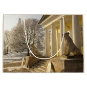 モスクワ。冬。ライオンの彫刻。 ラージペーパーバッグ (正面)