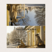 モスクワ。冬。ライオンの彫刻。 名刺 (外部フラット)