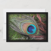 モスグリーンの背景に黒いペコックの羽根の結婚式招待状 招待状 (裏面)