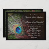 モスグリーンの背景に黒いペコックの羽根の結婚式招待状 招待状 (正面/裏面)