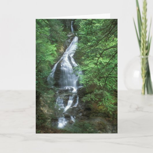 モスグレン秋ズストウバーモント カード (正面)