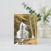 モスグレン秋バーモント&フォトグラファー ポストカード (スタンド正面)