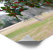 モススペインのとアメリカンホリー ポスター (角)