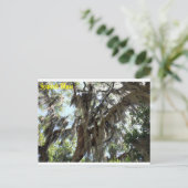 モススペインのオールドサウス葉書 ポストカード (スタンド正面)