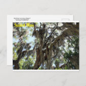 モススペインのオールドサウス葉書 ポストカード (正面/裏面)