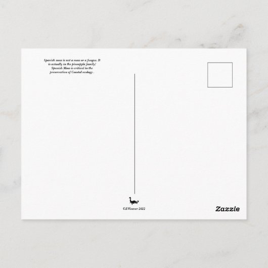 モススペインのオールドサウス葉書 ポストカード (裏面)